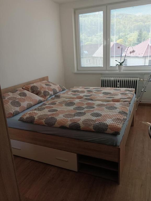 apt Maria - B&B Medzilaborce