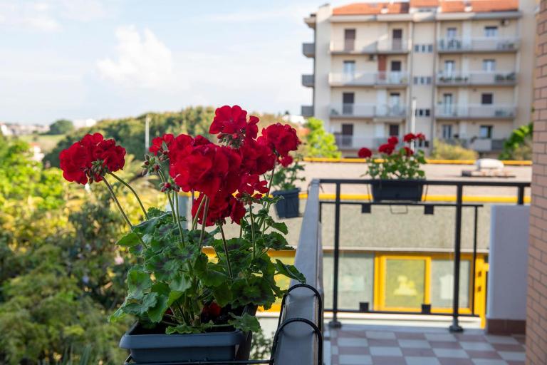 I Gerani - B&B Termoli
