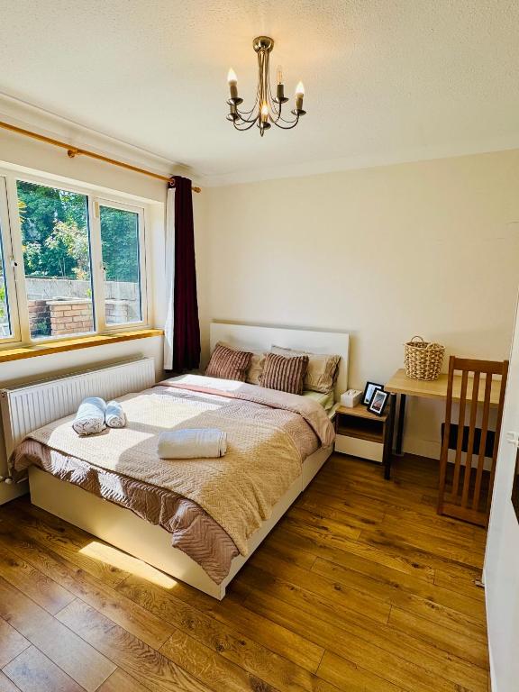 Urban Garden Hideaway - B&B Dublin