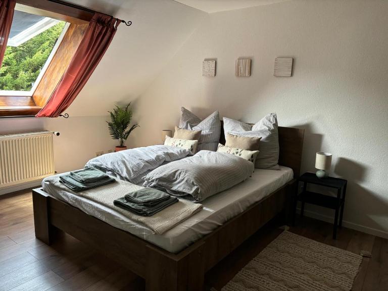 Sky view, Forest Apartments Menzenschwand - Ferienwohnung Sankt Blasien