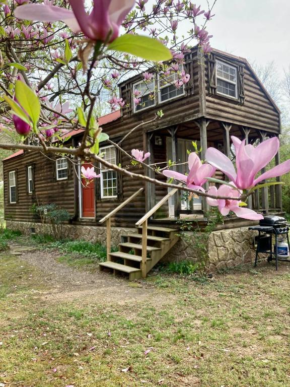 Sunnybrook Cabin, wooded, private with stream, near ATV trails - B&B Mena