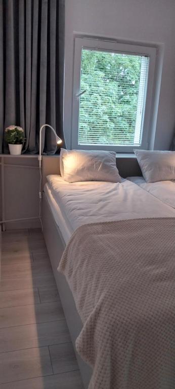 Lokum - B&B Częstochowa