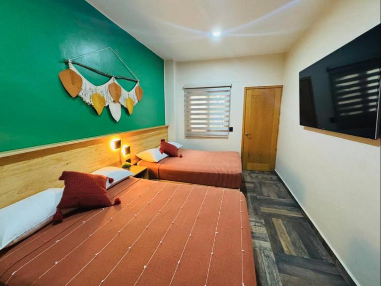 Acogedor departamento a 10 min del centro Oaxaca de Juarez - B&B Oaxaca de Juárez