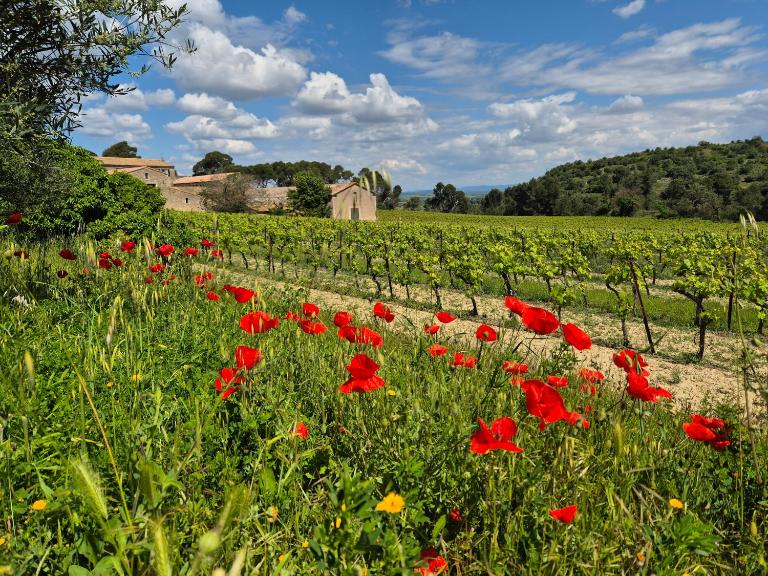 La Pinède, logement privatif au château - B&B Aumes
