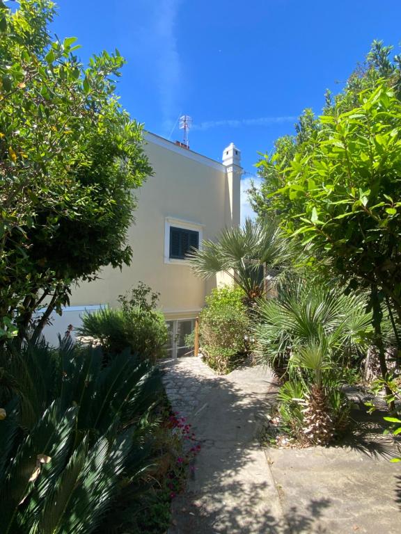 Villa Marino in Aurora - B&B Capri città