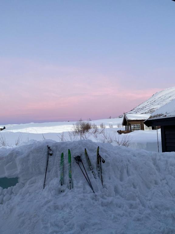 Family cabin & Guest favourite, near Hardanger and Vøringsfossen - B&B Maurset