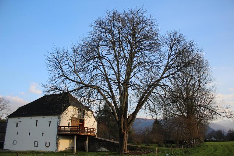 Grange KANDERATZEA - Ferienwohnung Tardets