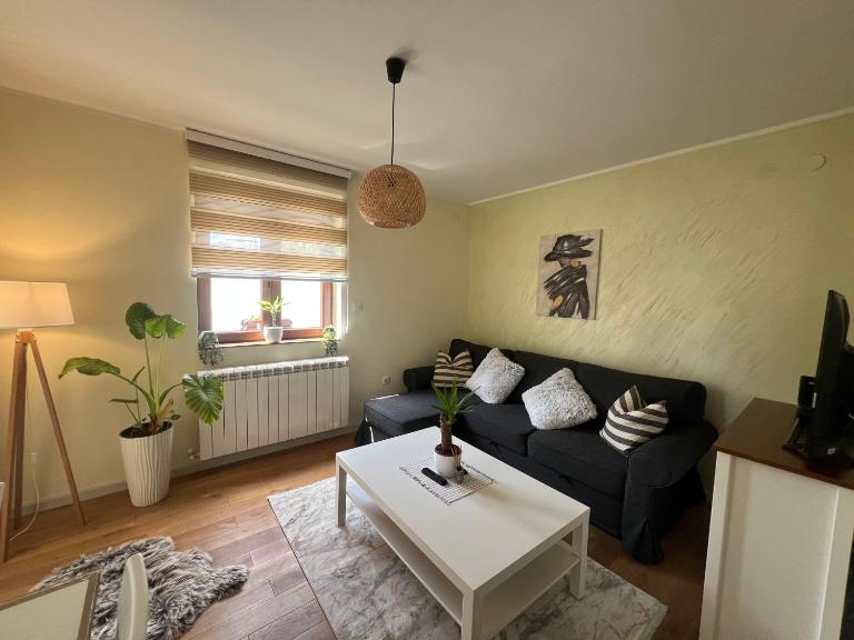 Apartman Korićanac I Vrnjačka Banja - Bed and Breakfast Vrnjačka Banja