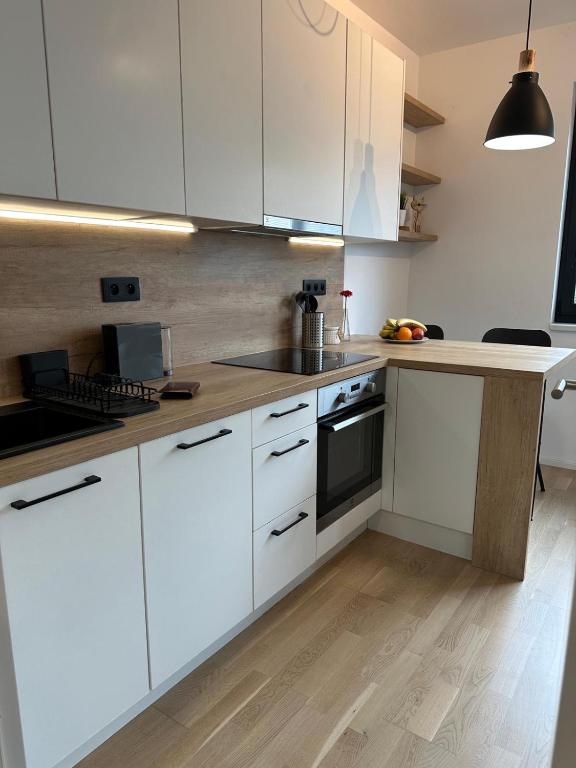 Vinice house - Bed and Breakfast Praag