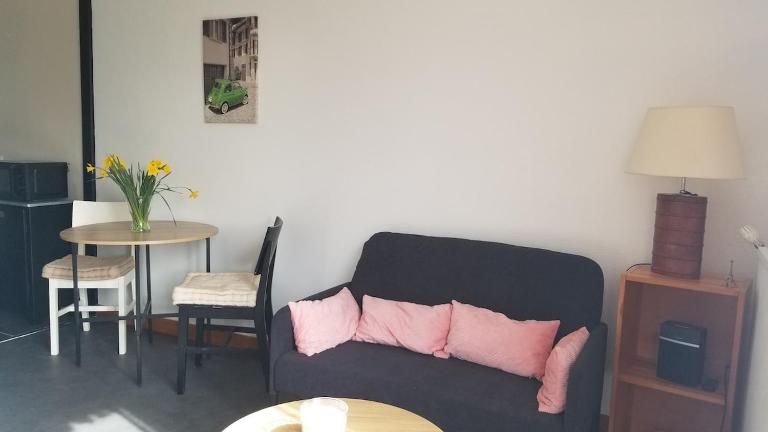 Appartement lumineux avec jardin à Amboise - B&B Amboise