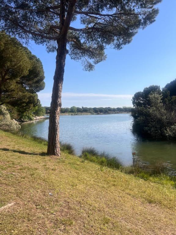 Les Appartements De Lina - Appartement East Land - Self Check-In - - B&B La Grande-Motte