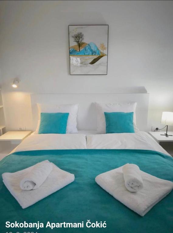 Apartmani Čokić Sokobanja - B&B Soko Banja