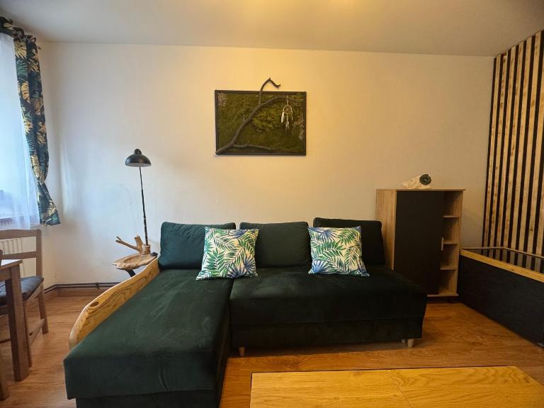 Apartament Zimowa 16 - Bed and Breakfast Srebrna Góra