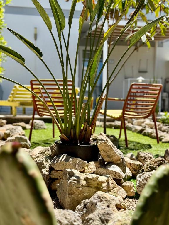 Vistamare Est e Ovest - Ferienwohnung San Cataldo