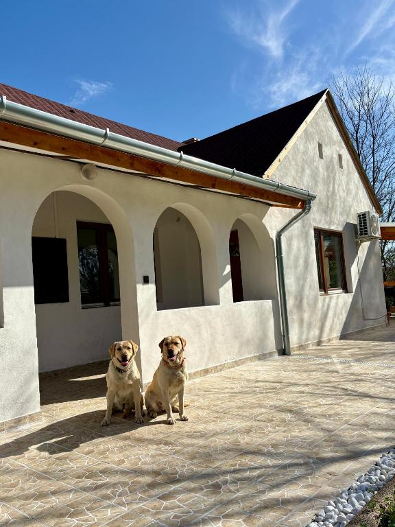 Sárffy Vendégház - B&B Szőce