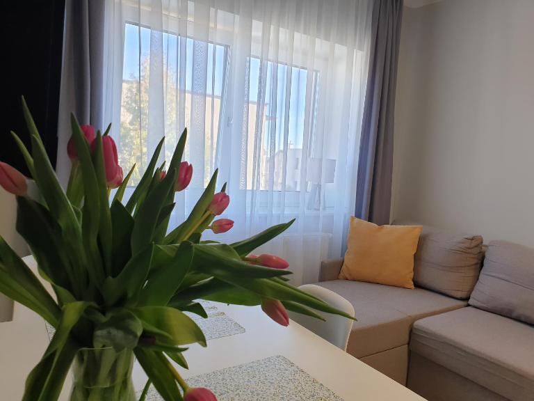 Suite Sandra Apartament - B&B Łeba