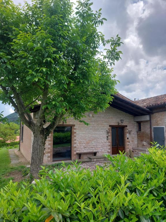 L'officina di Leo - Casale con giardino - B&B Cagli