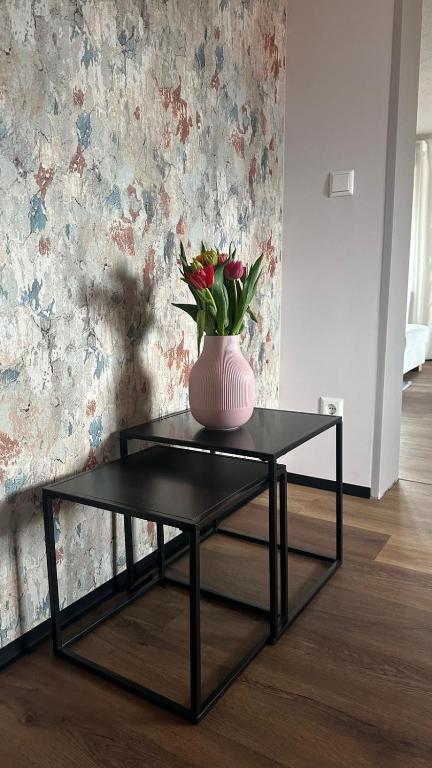 FeWo MaKi Schwarzwald Europa Park Rulantica Straßburg - B&B Friesenheim