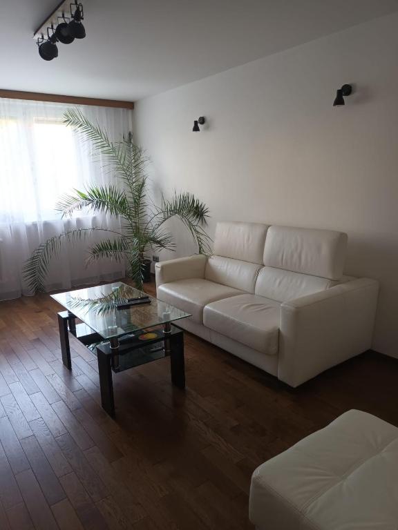 útulný byt v blízkosti centra - B&B Brno-Černovice