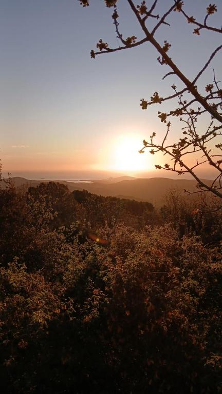 Sa Mesaluna Naturhouse - Bed and Breakfast Ilbono