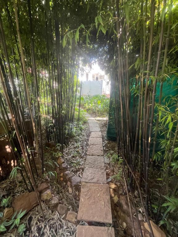 LightHouse Sanctuary - B&B Johannesburg