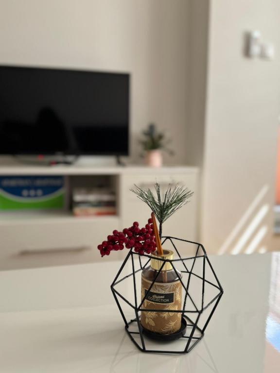 Apartment ANDI Istocno Sarajevo - B&B Lukavica