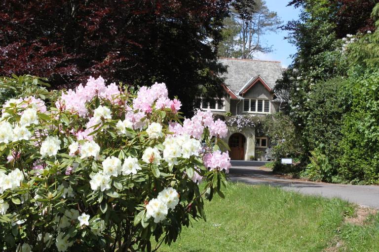 Knapp House Lodges - B&B East Anstey