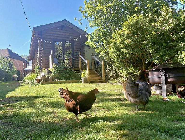 CABIN in hosts huge garden CHILD FRIENDLY with Hens Kittens firepit Marshmallows - Bed and Breakfast Charing