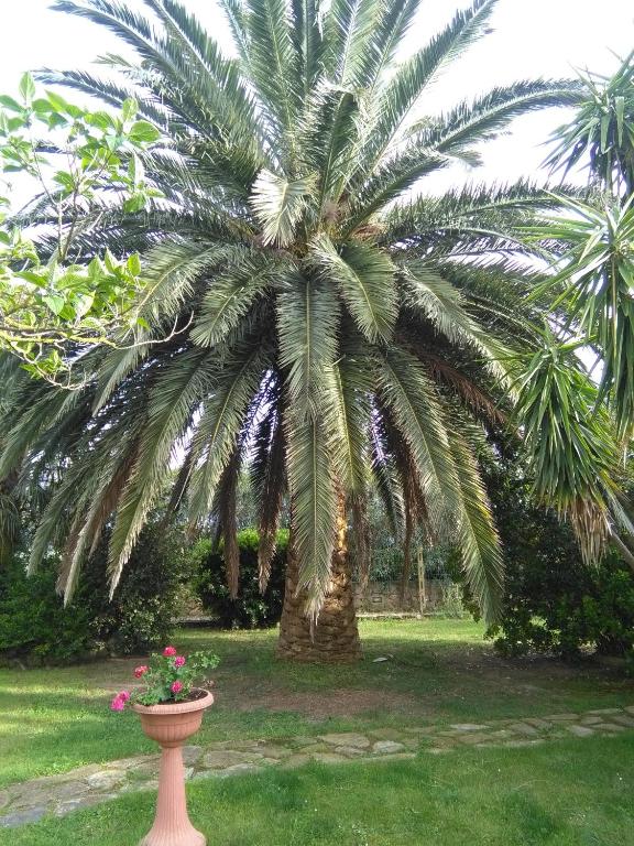 La Palma - B&B Magliano in Toscana