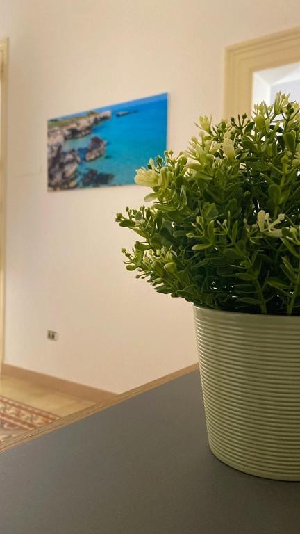 Bermuda apartment - Bed and Breakfast Monopoli