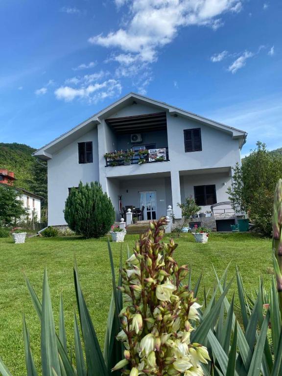 Tina - B&B Tekija