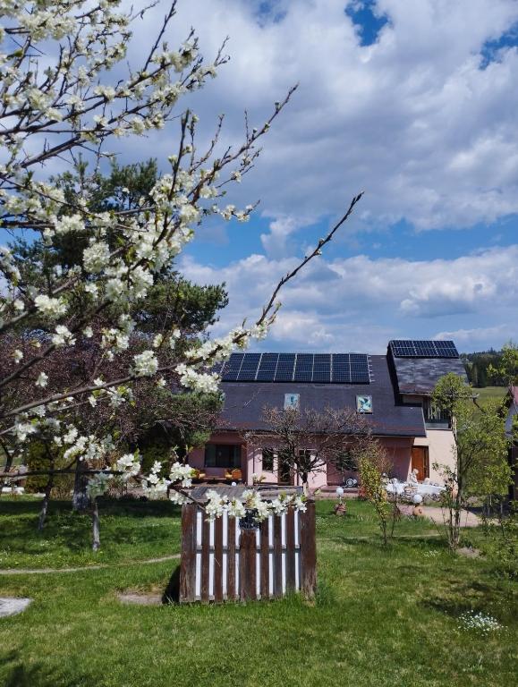 Pensiunea La Plai - Oază de Relaxare - Ferienwohnung Plaiu Șarului