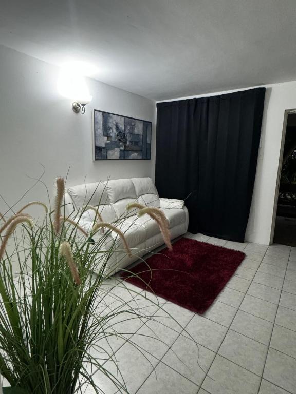 Oxford Manor Apt - Kingston - Economy stay - B&B Kingston