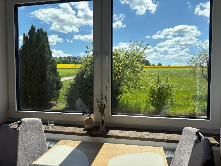 Kamin-Apartment Bodanum mit eigener Terrasse - naturnahe Ortsrandlage - VDSL - 10 min zum Nürburgring - B&B Bodenbach