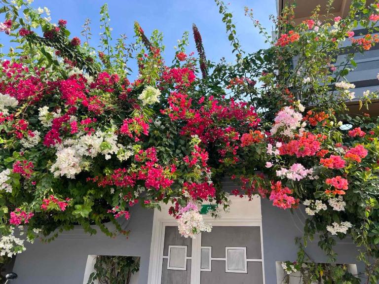 Hiri Inn - Bed and Breakfast Manadhoo