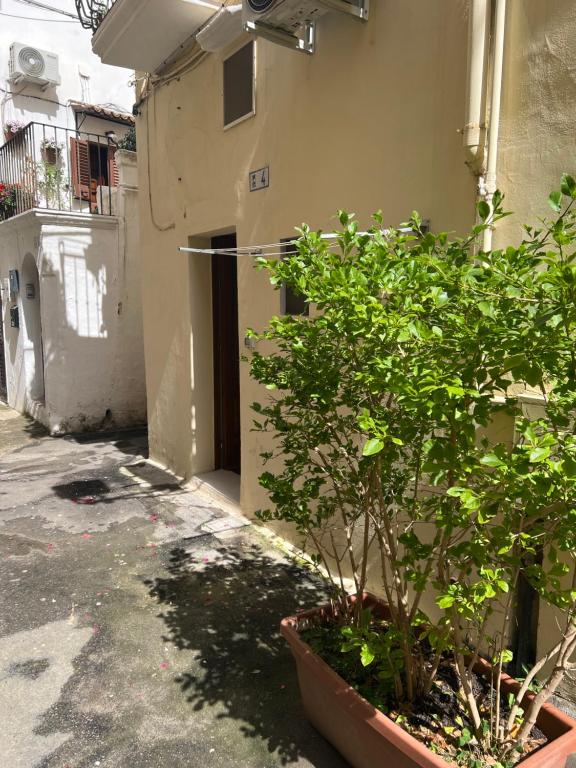 Vico SANTO ORONZO - B&B Gallipoli