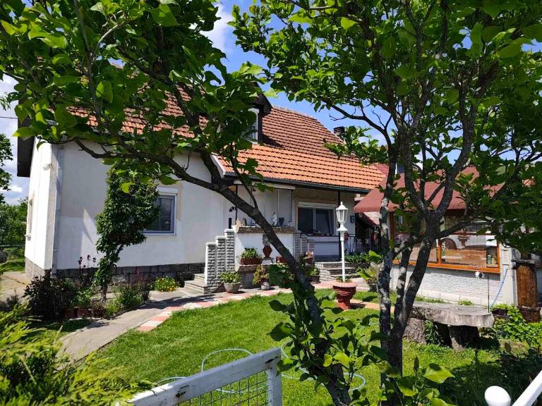 Vila Zvezdane večeri - B&B Rudnik