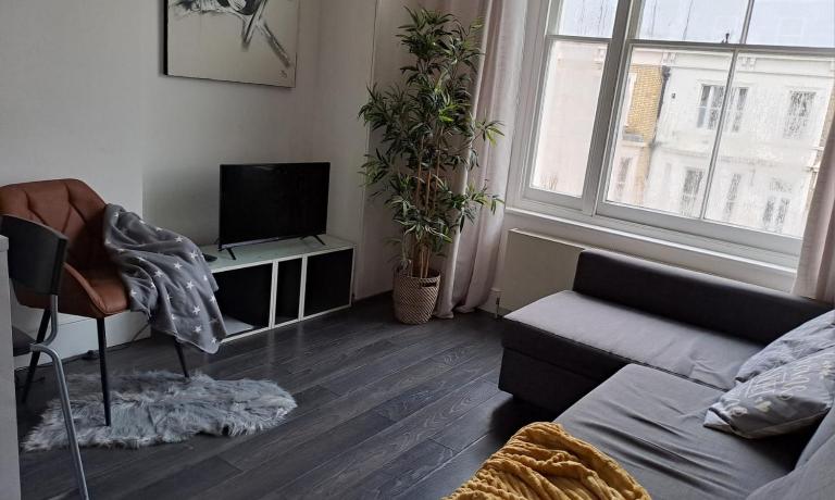 Fantastic 1BD flat in the centre - B&B London