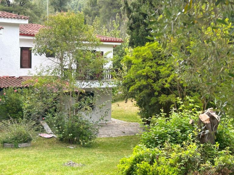 Villa Sea and Forest - Elani Halkidiki - Chambres d'hôtes Eláni