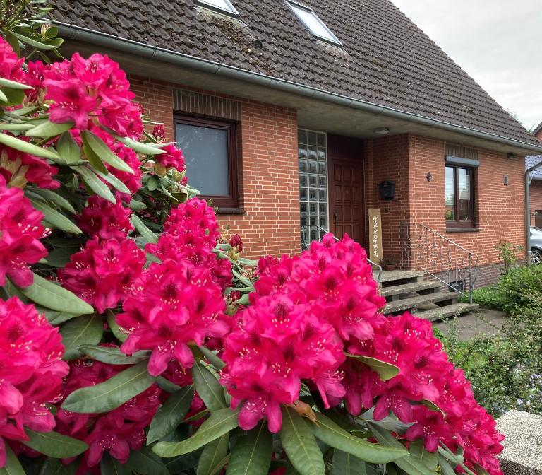 Ferienhaus Polley - Ferienwohnung Marschacht