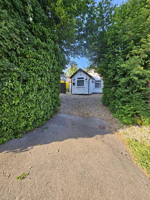 The Enchanted House - B&B Leavesden Green