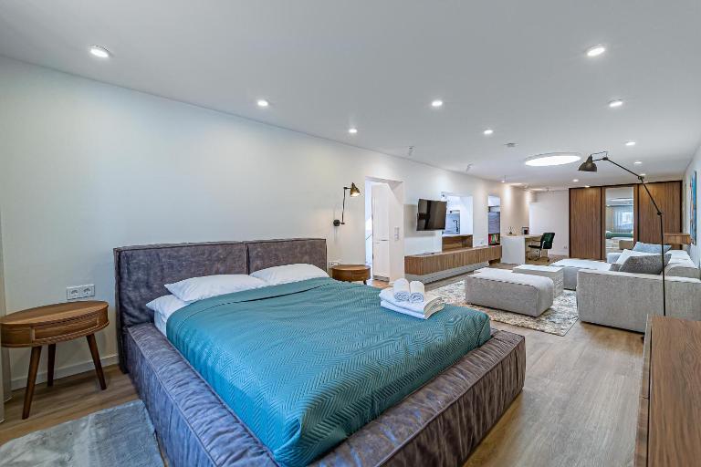 Symphony Apartment with free parking - Bed and Breakfast Kaunas