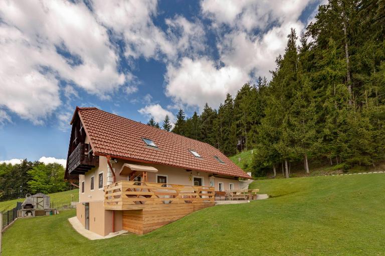Sunflower House with Jacuzzy and Sauna - B&B Vitanje
