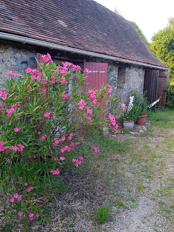 chambre indépendante à la campagne - Bed and Breakfast Alles-sur-Dordogne