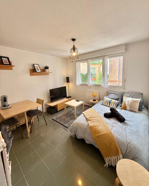 Studio Calme et Confort - Saint-Cyprien - Pont Neuf - B&B Toulouse