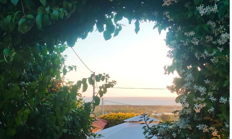 Amorevole villa con terrazza e doccia esterna - Chambres d'hôtes Pouzzoles