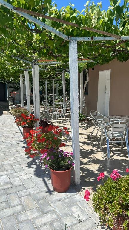 Dhoma Pushimi Tale Beach - B&B Lezhë