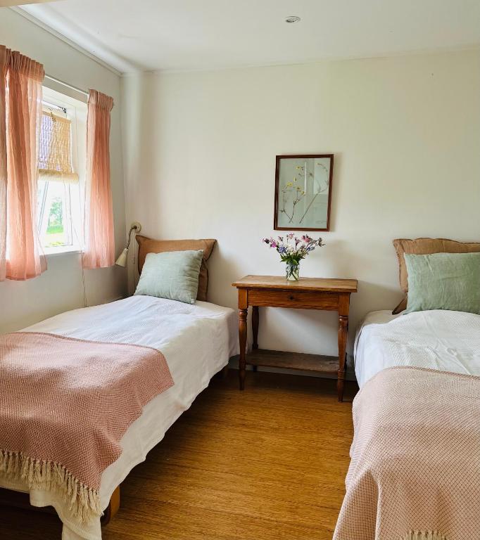 Camønogaarden B&B, darksky cabins and events - B&B Borre