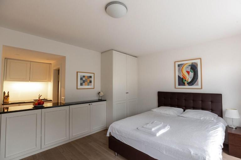 Charming Studio in the historical town - UZ 14 - Bed and Breakfast Zürich