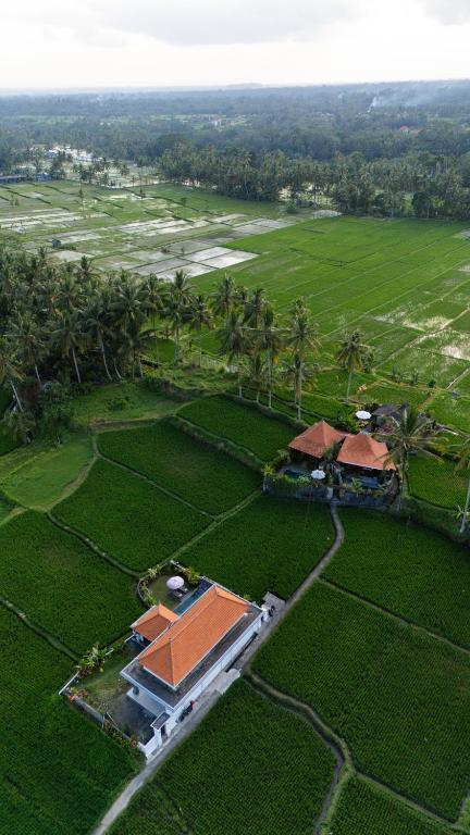 Kubu Cinta Ubud - Ferienwohnung Ubud